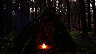 Survival Bushcraft Wikiup Shelter. Building a Primitive Shelter with simple Technology. Camping