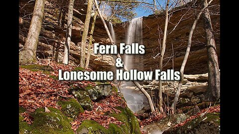 Fern and Lonesome Hollow Falls