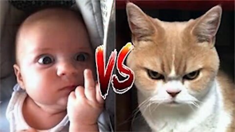 Funny Video of 🤣 KID VS CAT 😻 Cute baby and funny cats - Awesome Funny Pet Animals Videos 😇