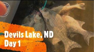 Devils Lake White bass 9/4/21 Day 1