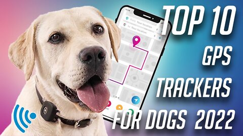 Top 10 Gps Trackers for Dogs 2022 | Best Gps Pet Tracker