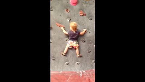 Incredible Baby Climber