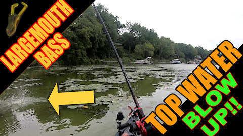 Topwater Bass Fishing Blowup Kayak Fishing on the Vibe Seaghost 130!!!