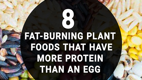 8 Fat-Burning Plant Foods That Have More Protein Than An Egg
