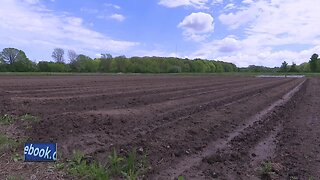 Wet weather impacting northeast Wisconsin crops