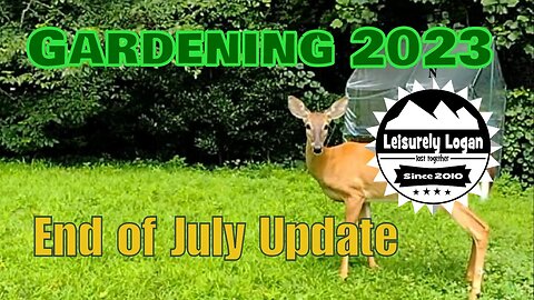 Garden 2023 : End of July Update - I hate deer