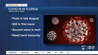 Tampa virologist says COVID-19 re-infection is possible, but not yet carefully studied