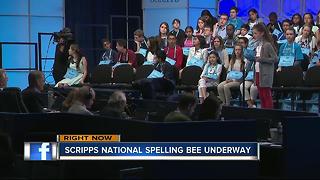 Bay Area students compete in Spelling Bee