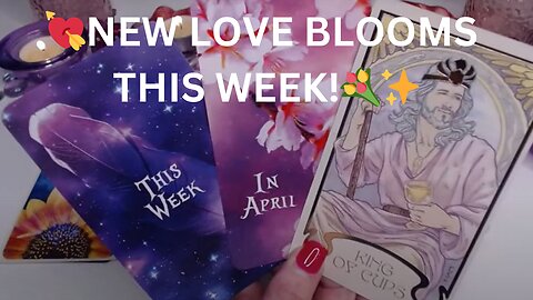 💘NEW LOVE BLOOMS THIS WEEK!💐✨YOUR KING IS ON THE WAY NOW👑🪄💘COLLECTIVE LOVE TAROT READING ✨