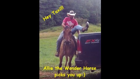 Who Needs Uber or Lyft when have Allie the Wonder Horse!