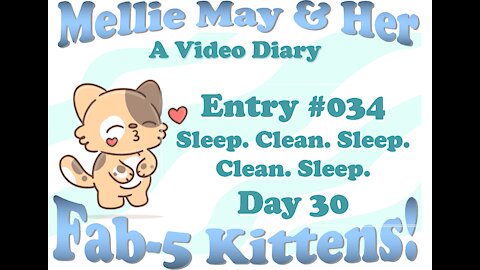 Video Diary Entry 034: Sleepy, Squeaky Clean Dottie - Day 30