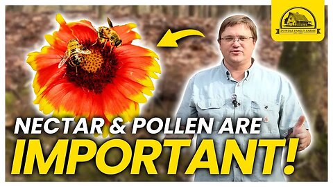 Why Nectar and Pollen Are Important for Beneficial Insects