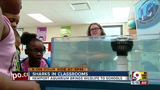 Newport Aquarium brings sea creatures to classes