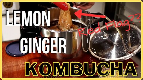 Kombucha - Adding Flavors to Secondary Fermentation - Lemon Ginger Kombucha