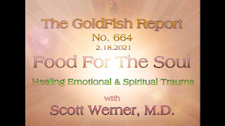 The GoldFish Report No. 664 - Healing Emotional and Spiritual Trauma w/ Dr. Scott Werner