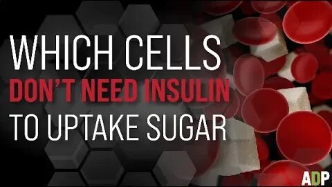 WHICH CELLS DON'T NEED INSULIN TO UPTAKE SUGAR