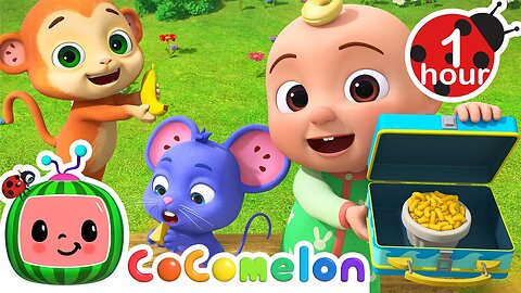 Yummy Lunch Song + More CoComelon Nursery Rhymes & Animal Songs