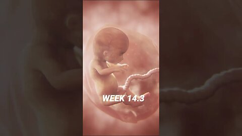 This Look Inside The Womb Could CHANGE MINDS On Abortion