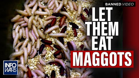 Dystopic Invasion: MSM Demands Public Eats Maggots