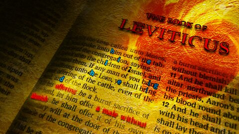Leviticus 1-27 - De Bijbel vanaf 10.000 meter - Skip Heitzig
