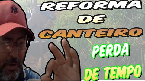 "Rotina do sítio "reforma de canteiro ( cebolinha)🔰🔰