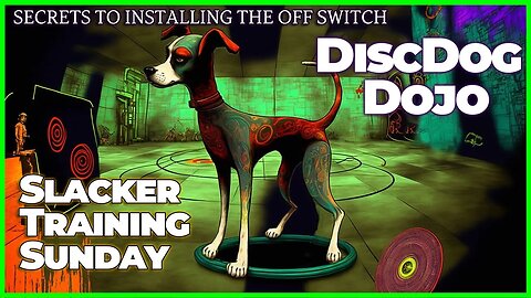 🥏🐶🥋Slacker Training Sunday🤙: Boost Engagement & Install an Off-Switch | DiscDog Dojo #93 🧠🔥