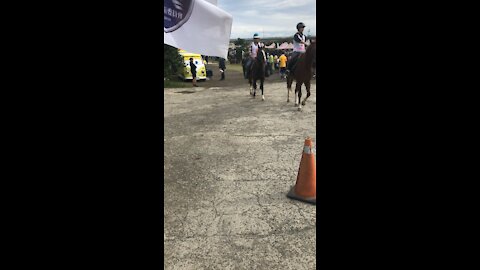 Horse competition in Taiwan