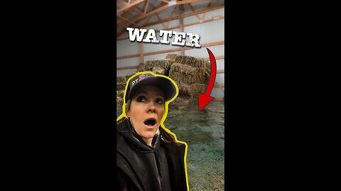 DISASTER - OUR FLOODED BARN (Full Story, Watch to End!)