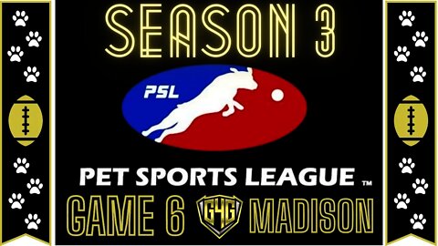 Jerry Rice & Nitus' Dog Football | Season 3 - Game 6: McGrady vs Madison #NintendoWii