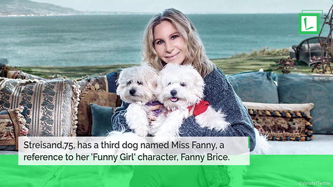 Fans Can't Look At Barbra Streisand's Dogs The Same After Star Goes Public About Their Past