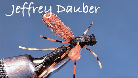 Jeffrey Dauber - Terrestrial Wasp Fly Tying by Charlie Craven