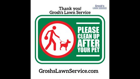 Lawn Mowing Service Clear Spring Maryland Dog Poop