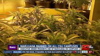 Cal State University Police: Marijuana not allowed on campus