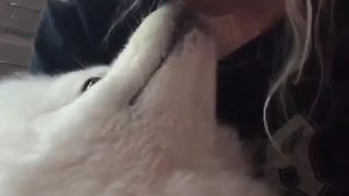 Puppy sneeze every time owner gives kisses