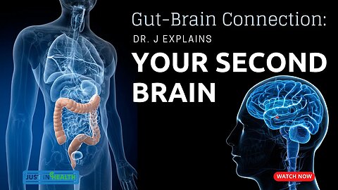 Gut-Brain Connection: Dr. J Explains Your Second Brain