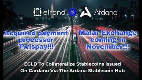 Cardano Elrond network partnership, interoperability, Twispay payment processor Aquired, Maiar DEX