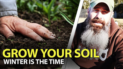 Cheap Ways To Grow Your Soil This Winter