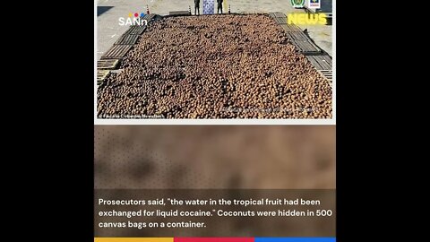 Police seized 20,000 coconuts filled with liquid cocaine