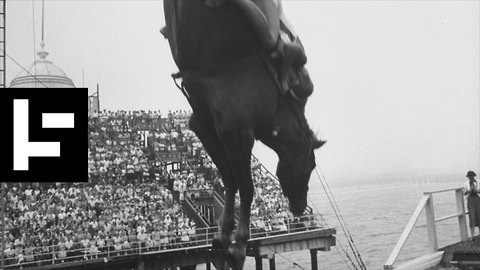 The High-Diving Horses That Risked Death Every Day to Entertain People