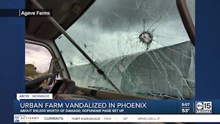 Agave Farms in Phoenix vandalized: How you can help