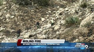 Gunshot suspected cause of Mt Lemmon fire