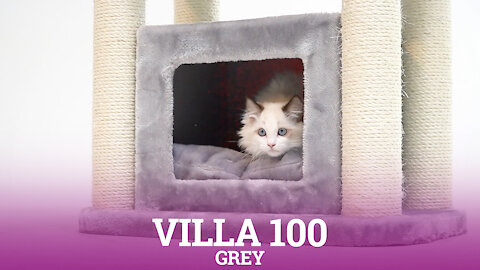 Petrebels cat trees - Villa 100 - Grey