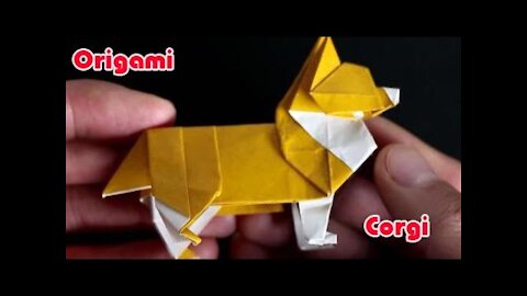 Make A Corgi Origami - DIY origami magical and interesting origami puppy origami instructional video