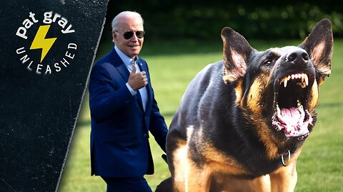 Biden's Family Dogs Are a MENACE to Society. Wonder Why?? | 7/26/23