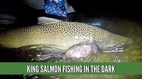 King Salmon Fishing In The Dark / Michigan King Salmon Fishing At Night / Salmon Fishing Videos