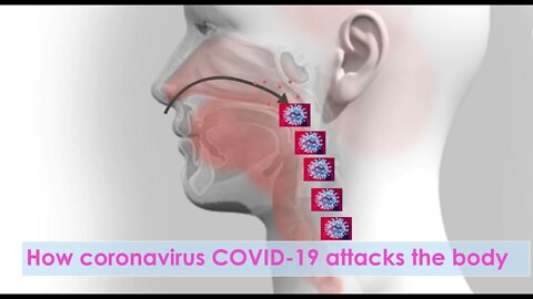 How coronavirus COVID-19 attacks the body?