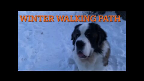 Our winter walking path