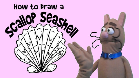 How to Draw a Scallop Seashell