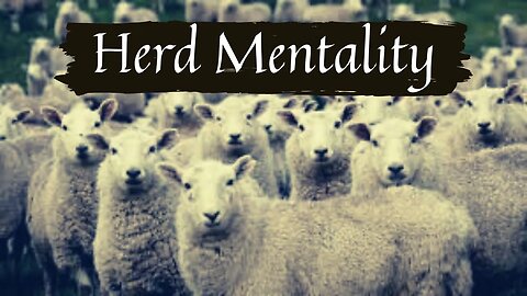 What is Herd Mentality?
