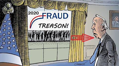 2020 FRAUD is TREASON